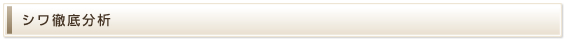 シワ徹底分析