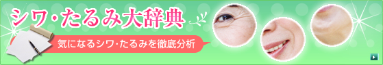 シワたるみ大辞典・気になるシワたるみを徹底分析!
